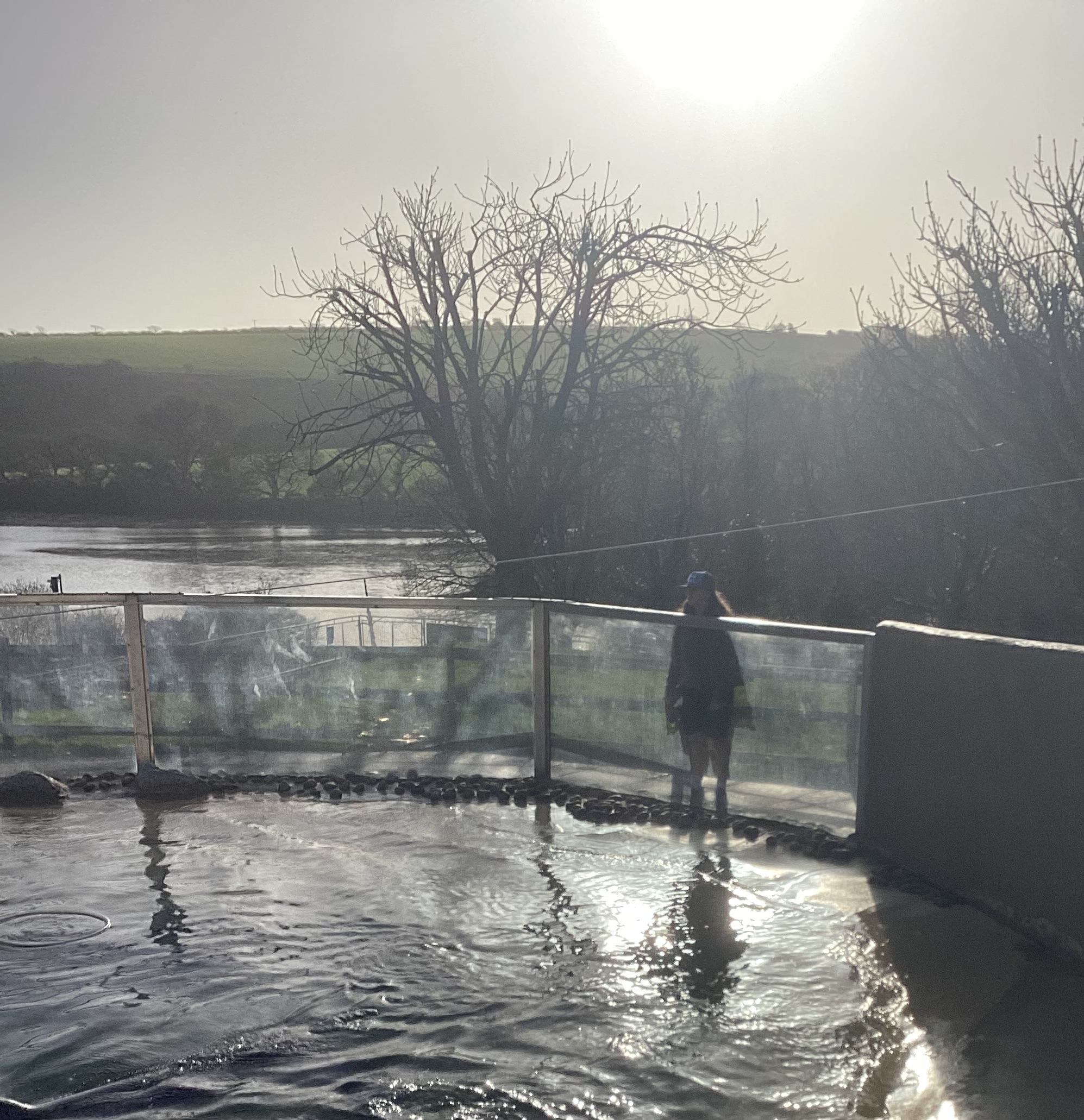 Learners discovering how the Seal Sanctuary cares for injured and orphaned seals, gaining hands-on insights into animal welfare and coastal conservation.